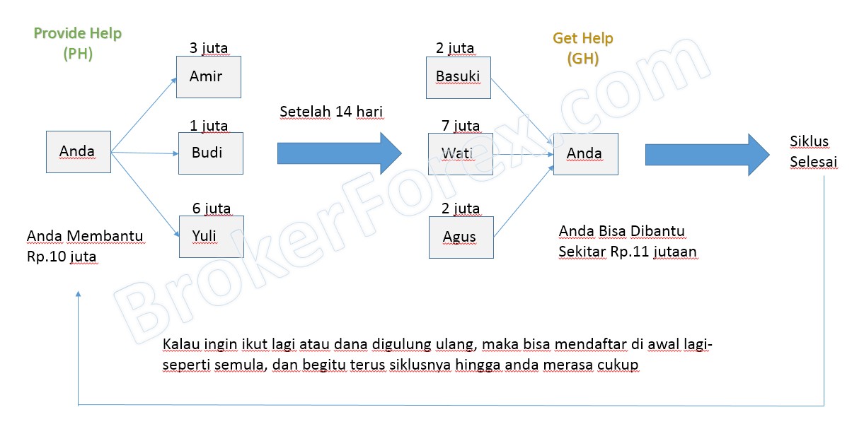 mmm menurut broker forex